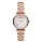 ARMANI AR11385 Női karóra