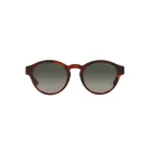 GIORGIO ARMANI AR8146-596271 Női napszemüveg