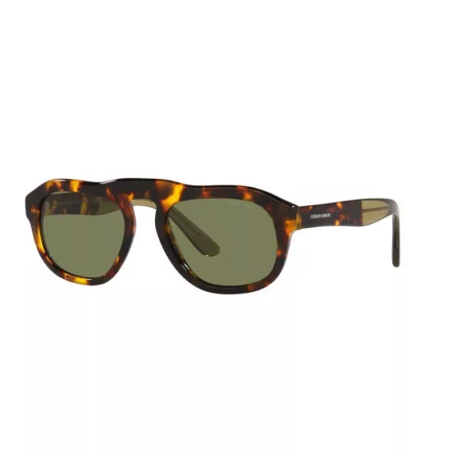 GIORGIO ARMANI AR8173-50922A Férfi napszemüveg