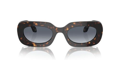 ARMANI AR8182-612486 Női napszemüveg