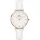 DANIEL WELLINGTON DW00100249 Női karóra