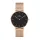 DANIEL WELLINGTON DW00100303 Női karóra