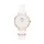DANIEL WELLINGTON DW00100313 Női karóra
