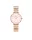 DANIEL WELLINGTON DW00100617 Női karóra