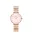 DANIEL WELLINGTON DW00100617 Női karóra