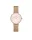 DANIEL WELLINGTON DW00100663 Női karóra