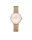 DANIEL WELLINGTON DW00100663 Női karóra