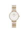 DANIEL WELLINGTON DW00100666 Női karóra