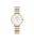 DANIEL WELLINGTON DW00100666 Női karóra