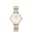 DANIEL WELLINGTON DW00100666 Női karóra