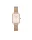 DANIEL WELLINGTON DW00100669 Női karóra