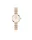 DANIEL WELLINGTON DW00100717 Női karóra