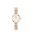 DANIEL WELLINGTON DW00100717 Női karóra