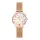 DANIEL WELLINGTON DW00100723 Női karóra