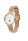 DANIEL WELLINGTON DW00100773 UNISEX karóra