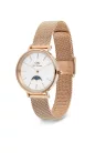 DANIEL WELLINGTON DW00100773 UNISEX karóra