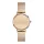 DANIEL WELLINGTON DW00100795 Női karóra