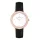 DANIEL WELLINGTON DW00100827 Női karóra
