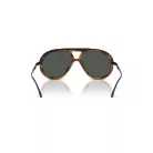 EMPORIO ARMANI EA4242U621287 Férfi napszemüveg