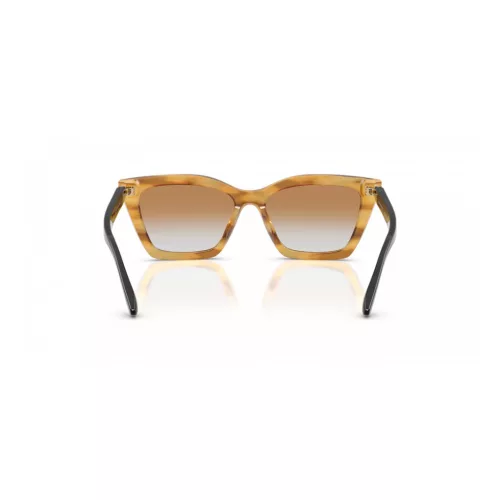 EMPORIO ARMANI EA4250U62692Q Női napszemüveg