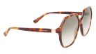 LONGCHAMP LO707S-230 Női napszemüveg