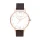 OLIVIA BURTON OB16SH07 Női karóra