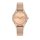 TRUSSARDI R2453152505 Női karóra