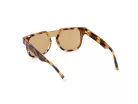 WEB EYEWEAR WE0315-0041F Férfi napszemüveg